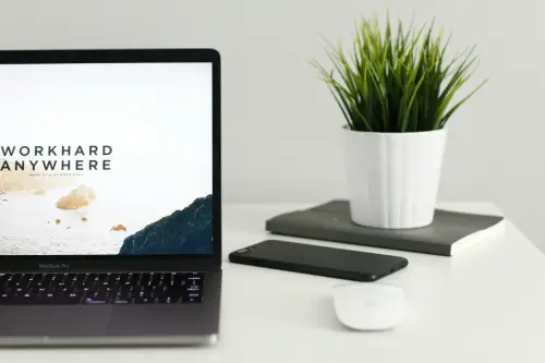 Plante verte pour bureau